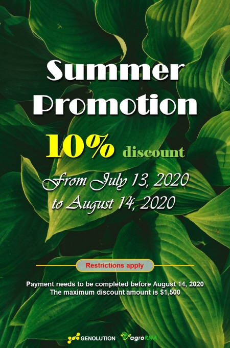 Summer Promotion (July – August 2020)